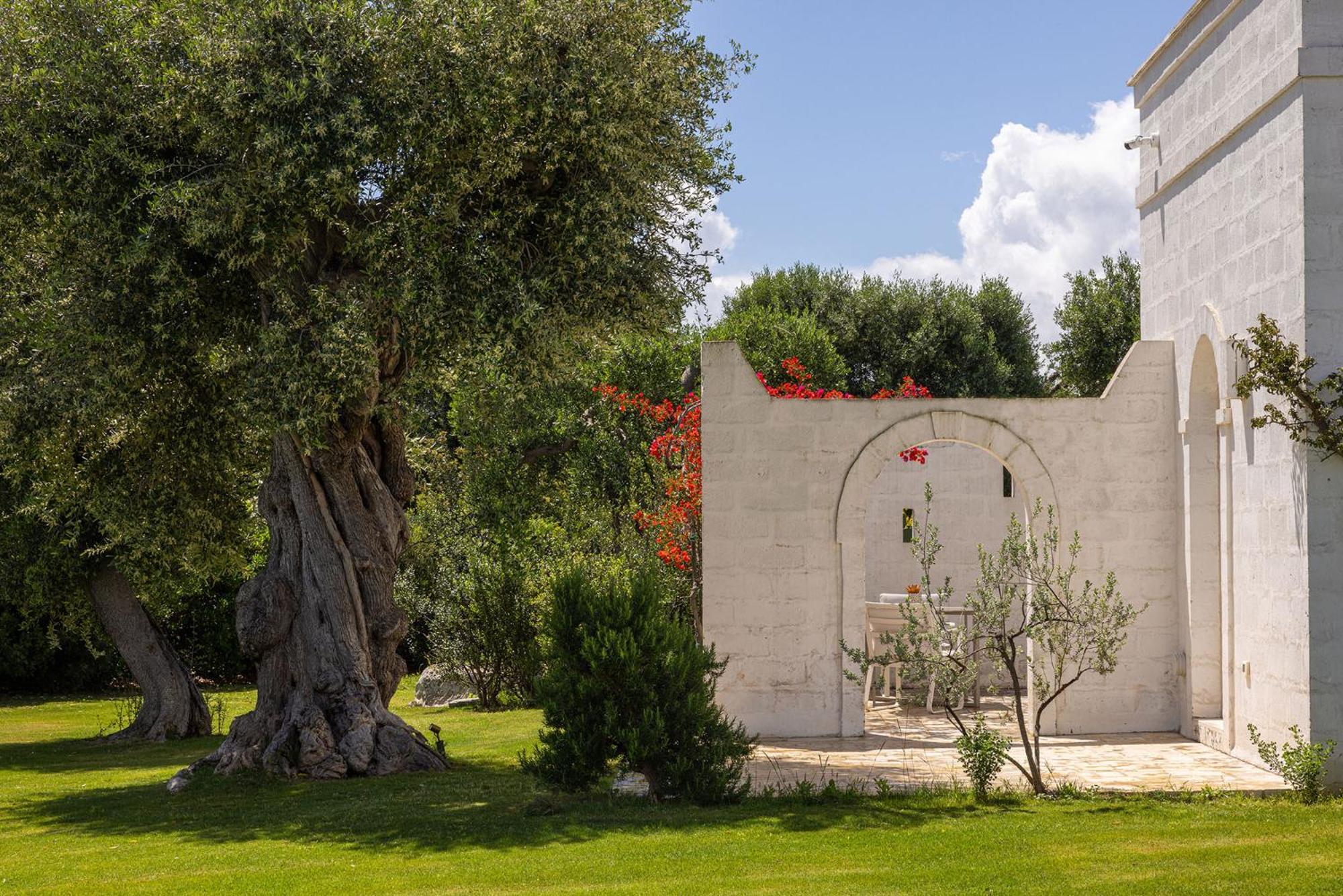 Masseria San Francesco サヴェッレトリ エクステリア 写真